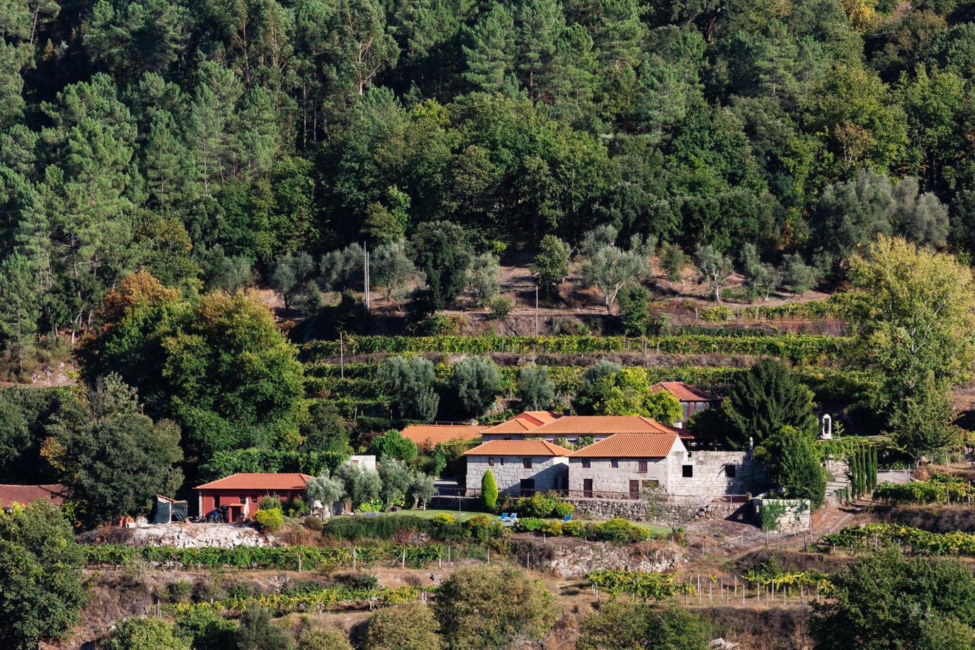 Casa de Campo Quinta Da Pousadela - *